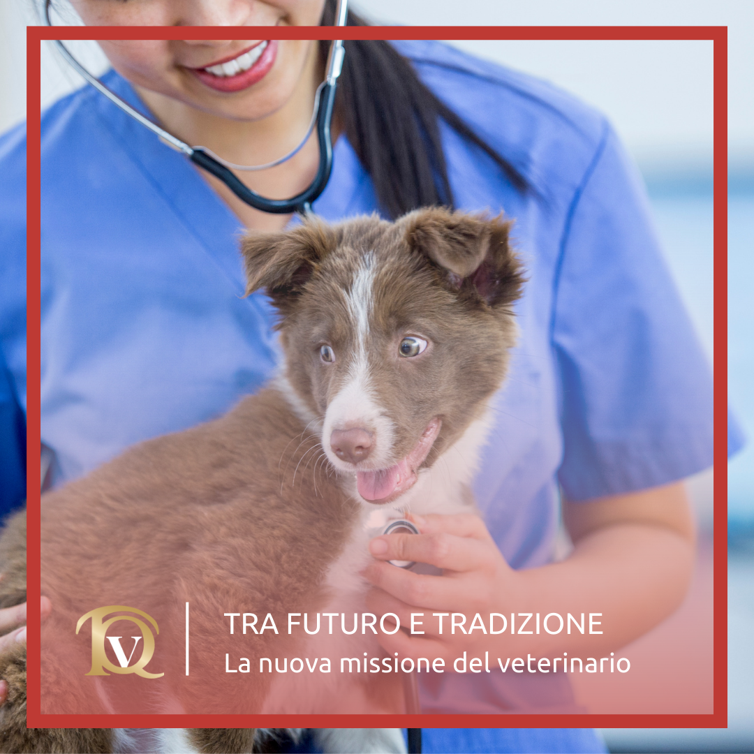 Tra futuro e tradizione: la nuova missione del veterinario