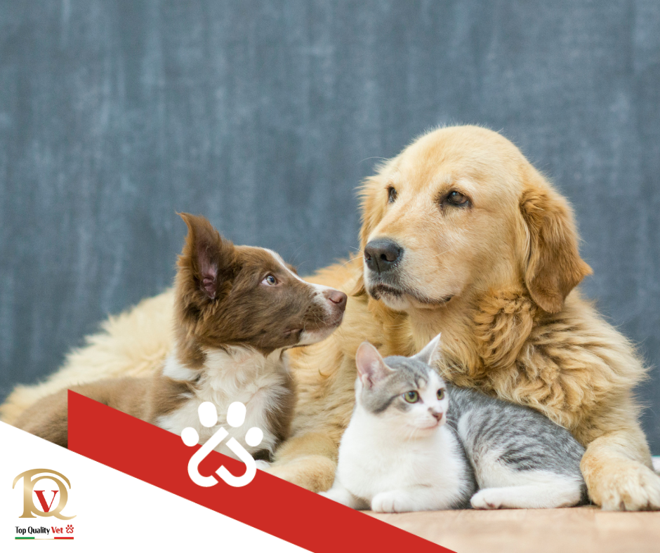 Sempre pi&ugrave; centrali nella societ&agrave;: numeri da record per gli animali da compagnia