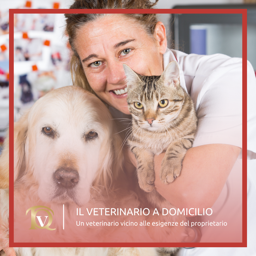 Il veterinario a domicilio &ndash; Un veterinario vicino alle esigenze del proprietario