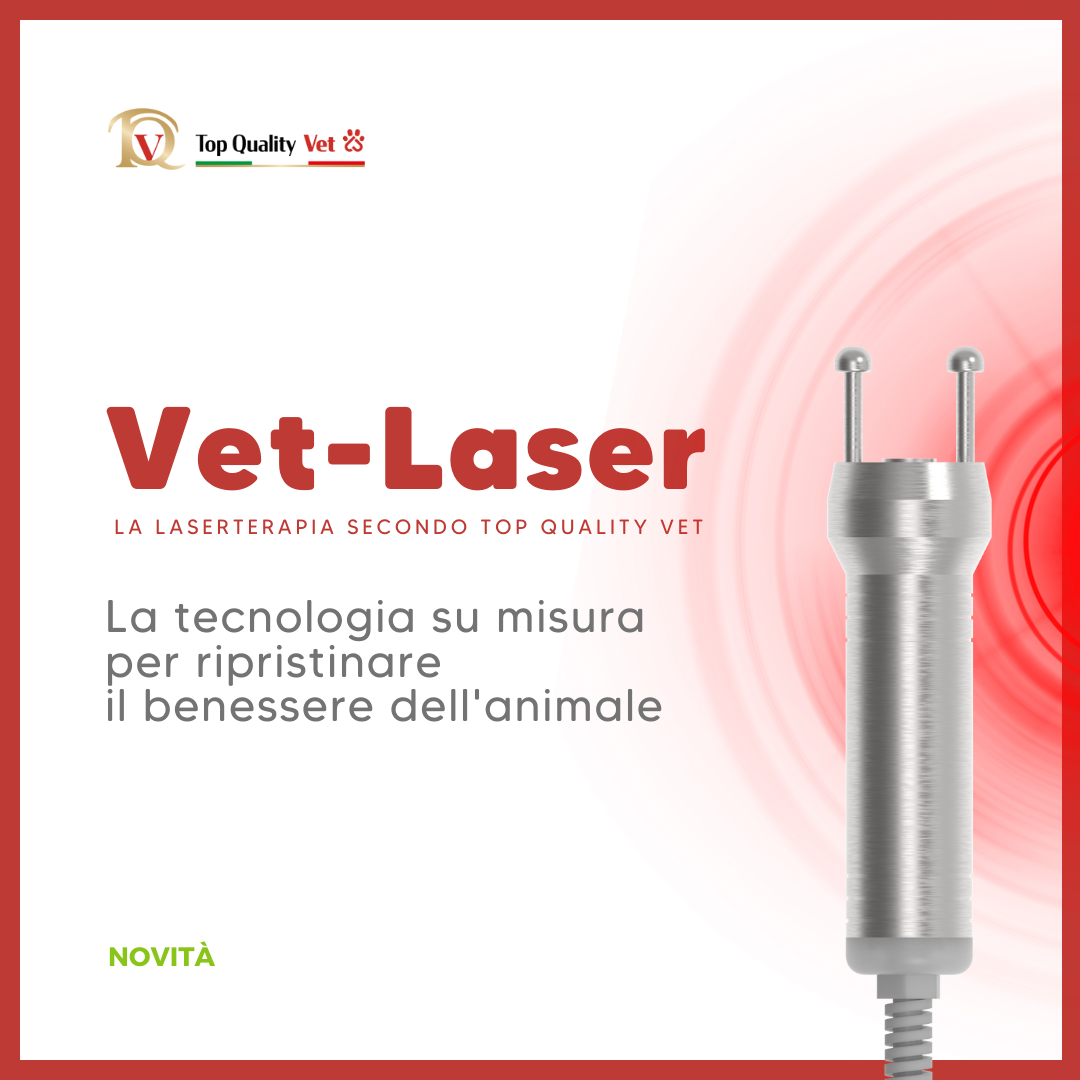 Vet Laser &ndash; La laserterapia secondo TQV