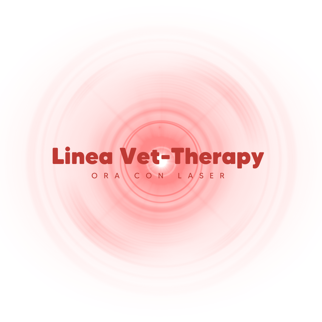 Vet Therapy Laser: il nuovo raggio d&rsquo;azione della laserterapia veterinaria