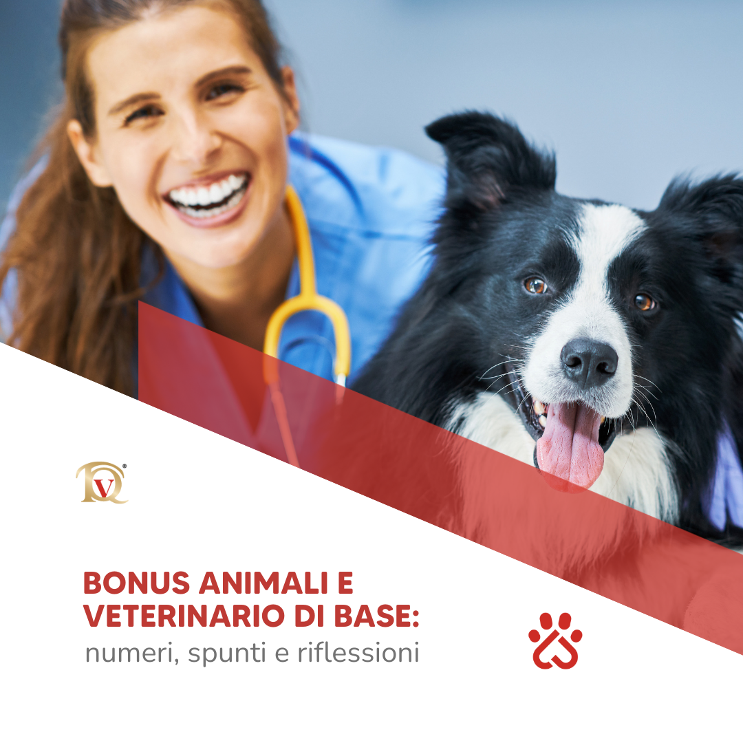 Bonus animali e veterinario di base: numeri, spunti e riflessioni