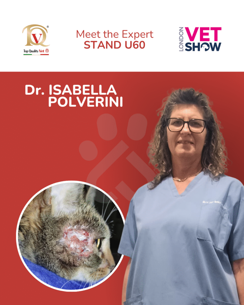 isabella polverini