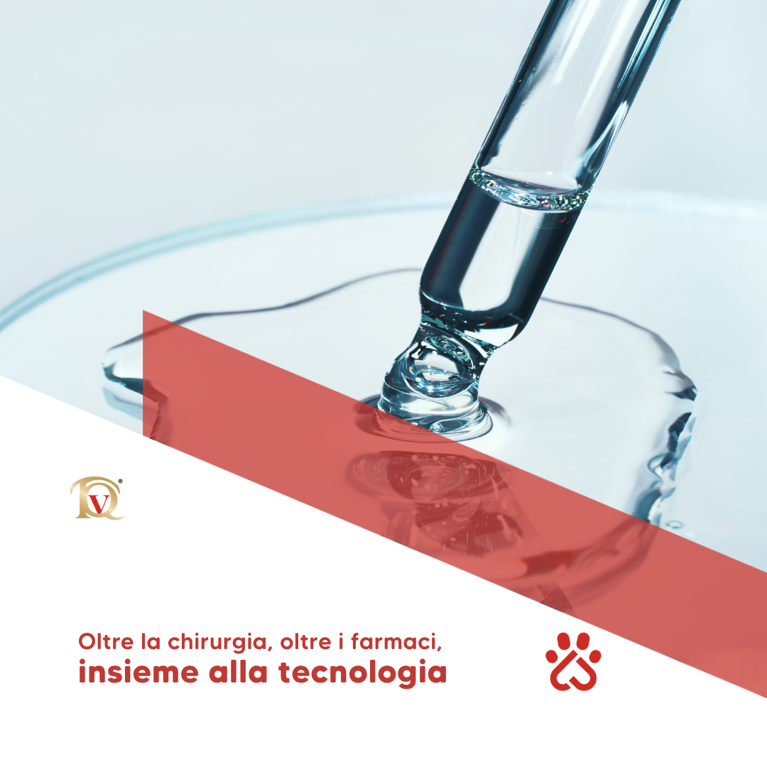 NOVIT&Agrave; &ndash; Catalogo prodotti TQV: nuove soluzioni per la medicina veterinaria