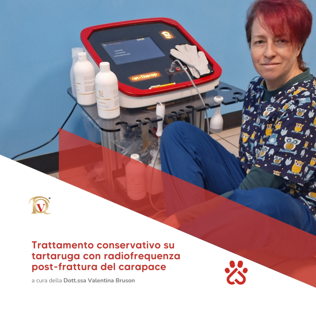 radiofrequenza veterinaria